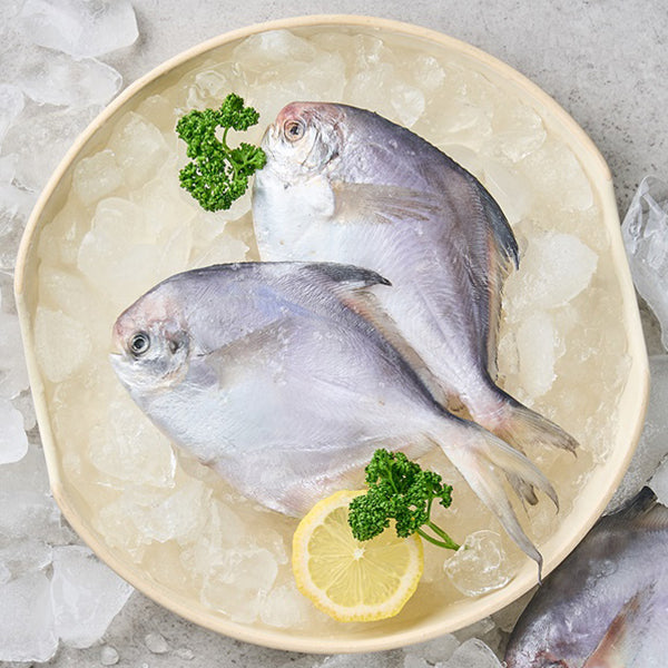 mu_ko