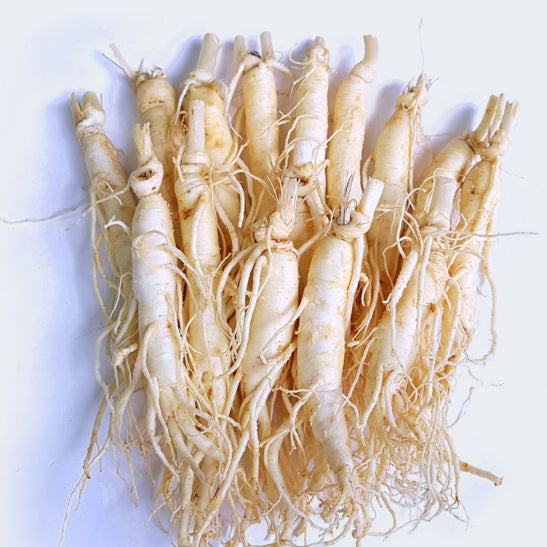 ginseng_t_1.f2730c3e7d0cbd177196231eb0b90adc.jpg